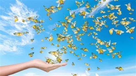 superannuation synonym|condition of release .